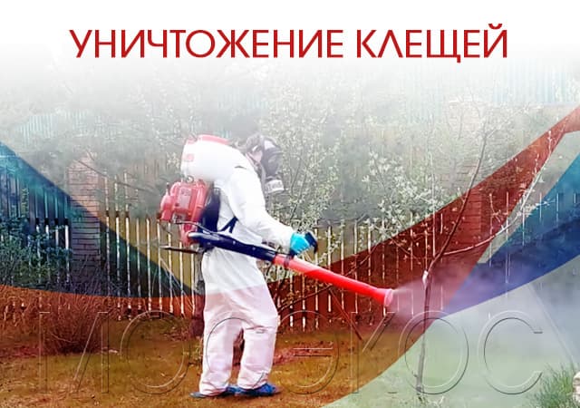 Обработка территорий от клещей в Орехово-Зуеве