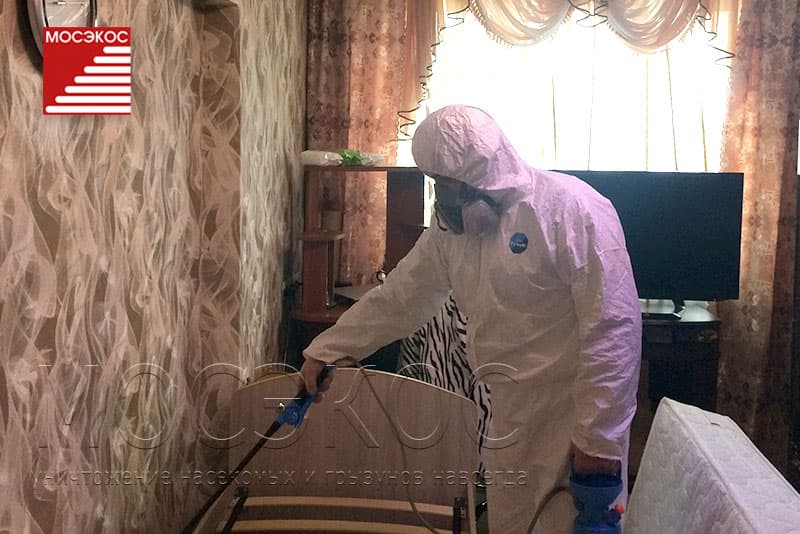 Дезинфекция от клопов в квартире в Орехово-Зуеве